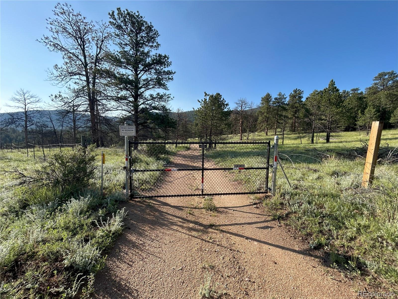 591599 Soul Shine Road Drake, CO 80515 - Photo 48 of 50 a view of a backyard