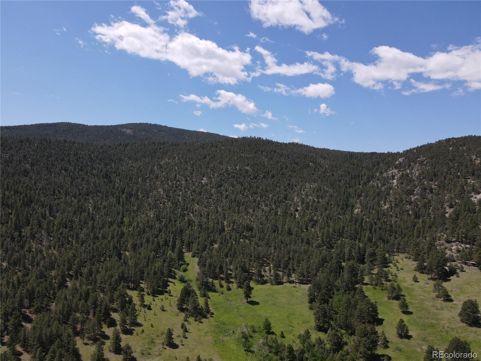 591599 Soul Shine Road Drake, CO 80515 - Photo 5 of 50 a view of lake and mountain