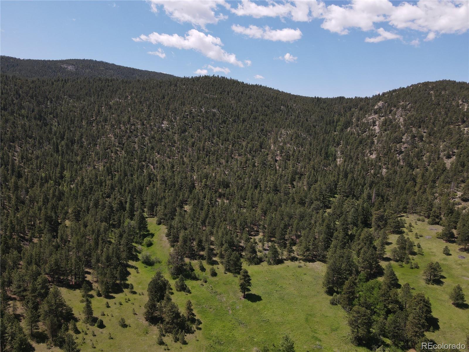 591599 Soul Shine Road Drake, CO 80515 - Photo 6 of 50 a view of a dry yard