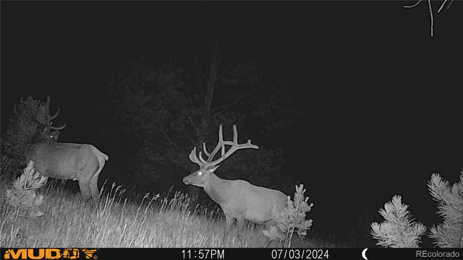 591599 Soul Shine Road Drake, CO 80515 - Photo 8 of 50 a picture of a room