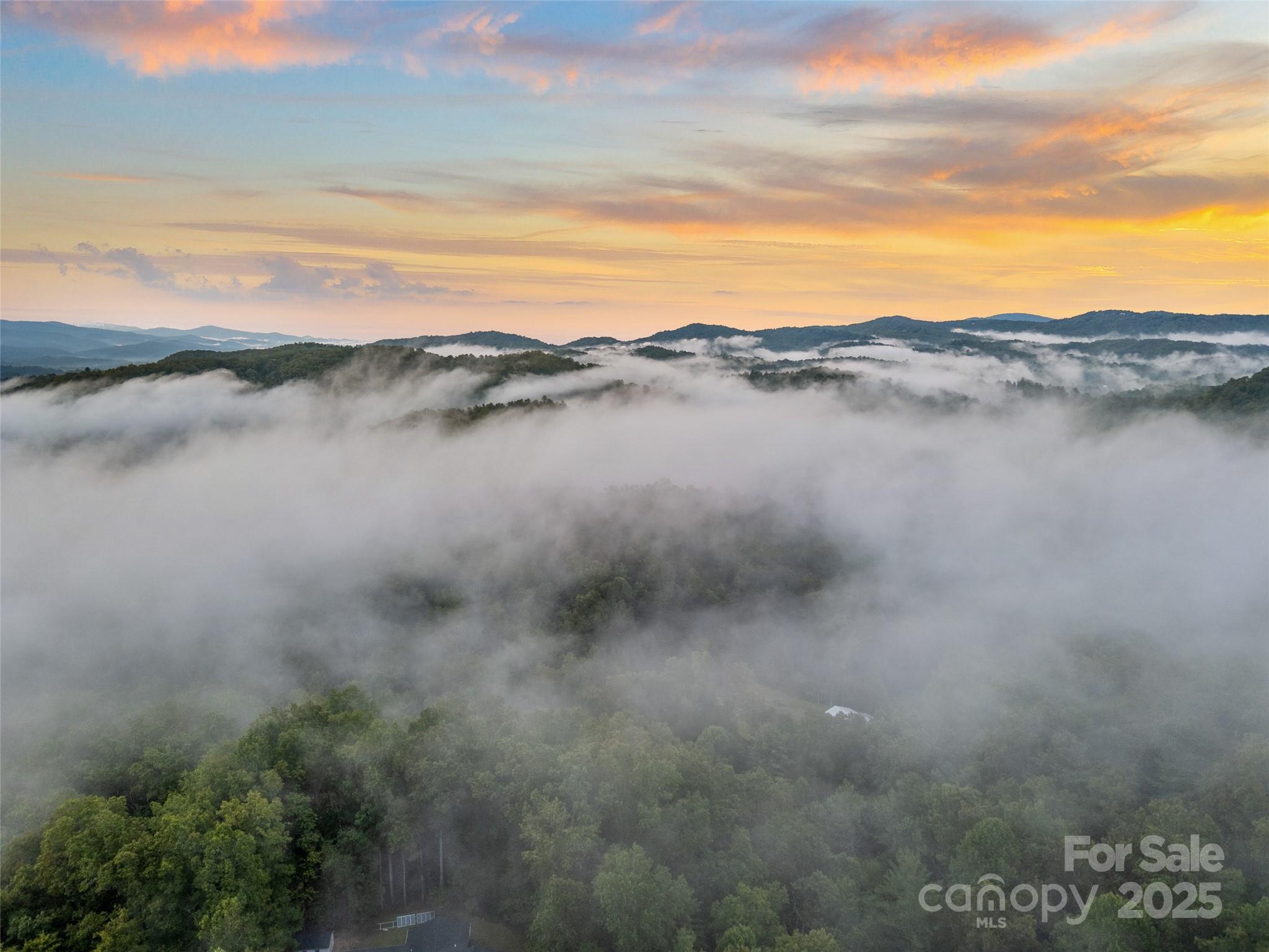 779 Thissa Way Brevard, NC 28712 - Photo 5 of 44 a view of lake with mountain