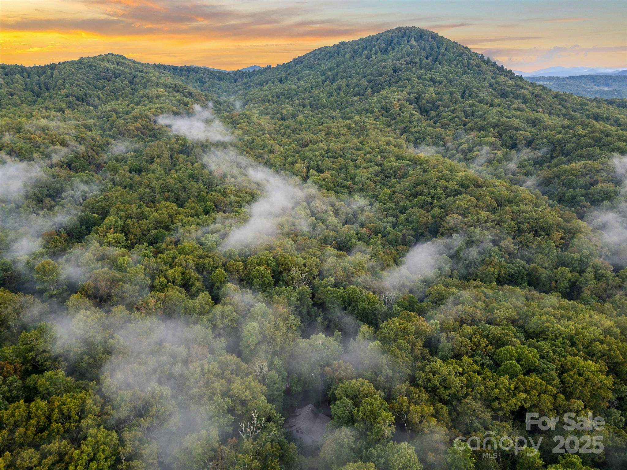 779 Thissa Way Brevard, NC 28712 - Photo 6 of 44 a view of a mountain in the distance in a field