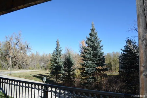 a view of a forest from a balcony