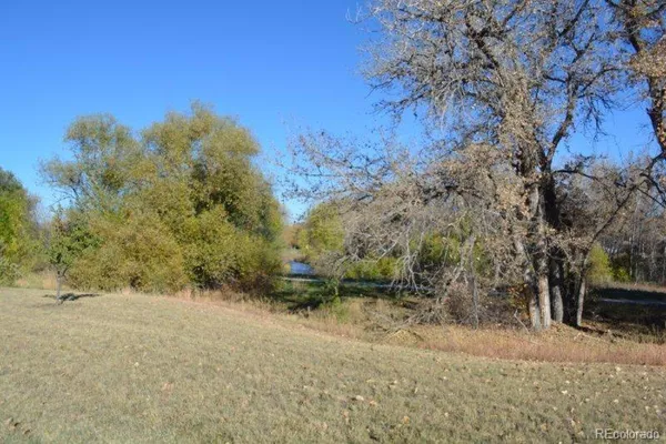 a view of a yard with mountain view