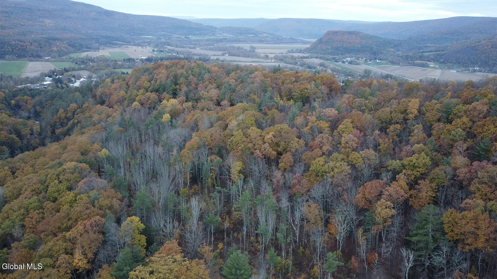 0 Gorge Road Middleburgh, NY 12122 - Photo 8 of 9 9) 64087-6984273fe2878