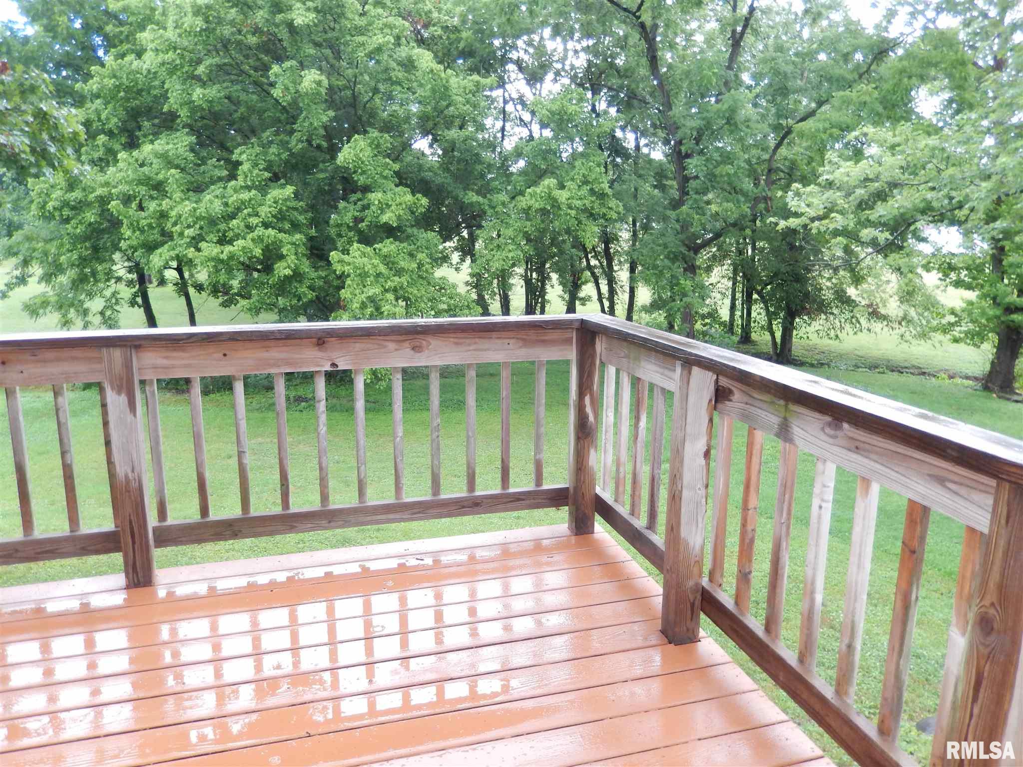 127 George Street Anna, IL 62906 - Photo 19 of 27 Gallery Image 19