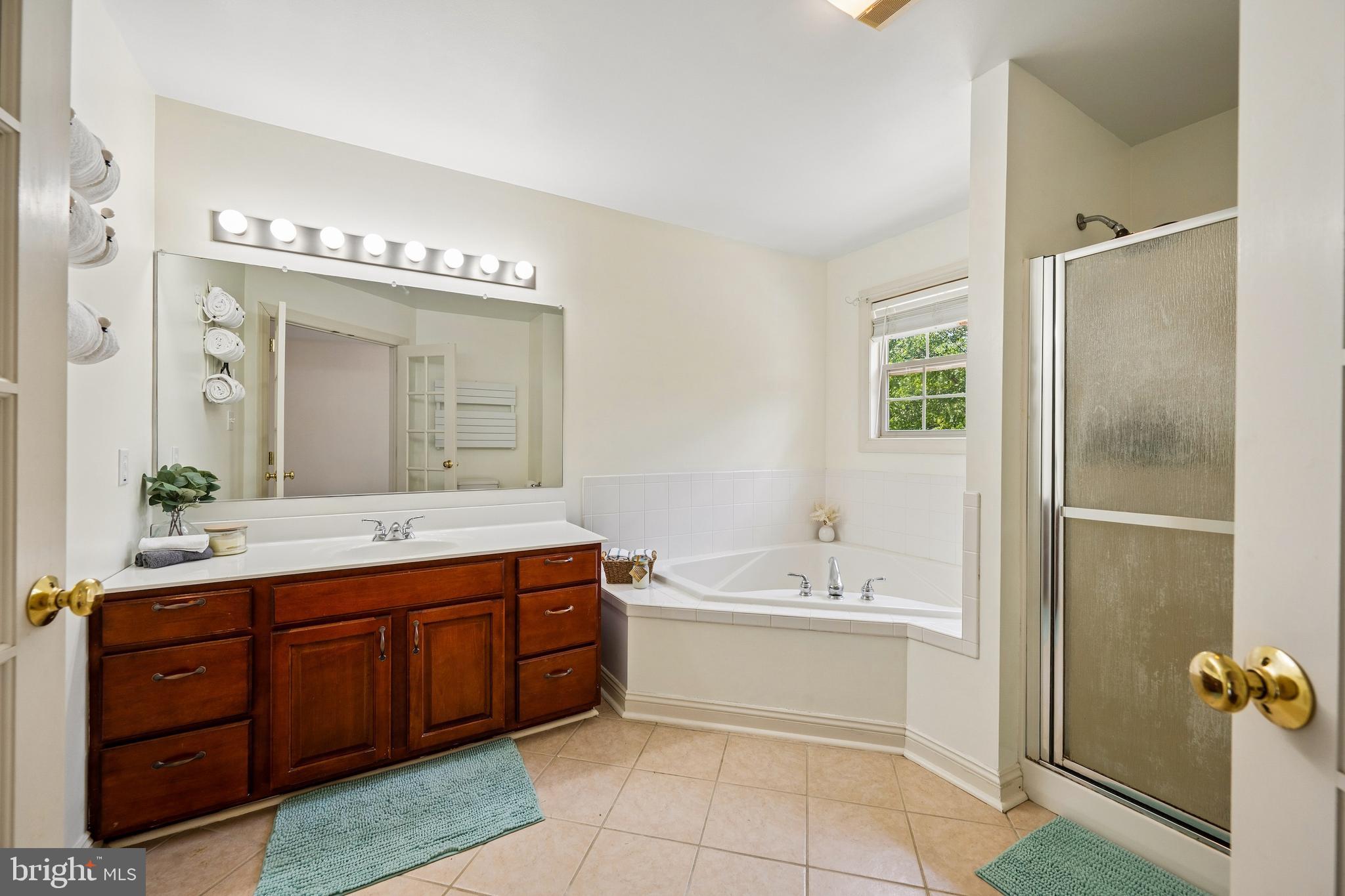 55 Greenmount Road Rising Sun, MD 21911 - Photo 34 of 105 Primary bath with jetted tub & shower.