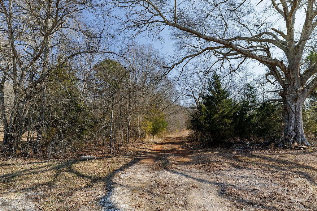 2644 Nunnally Shoals Road Good Hope, GA 30641 - Photo 8 of 17 Gallery Image 8