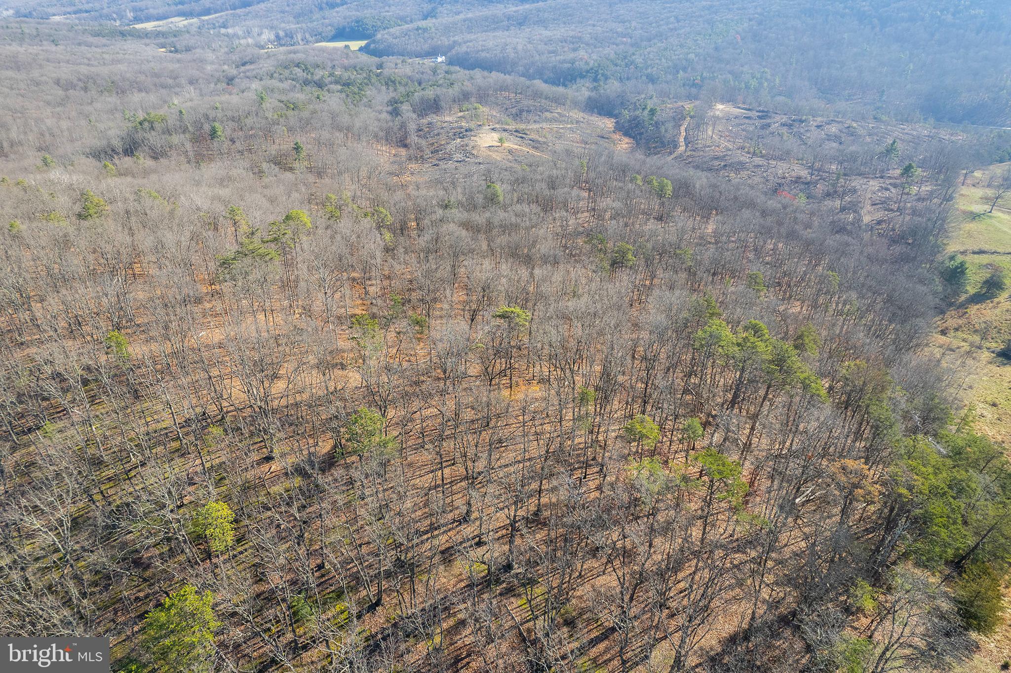 2487 Sperrys Run Road Rio, WV 26755 - Photo 6 of 32