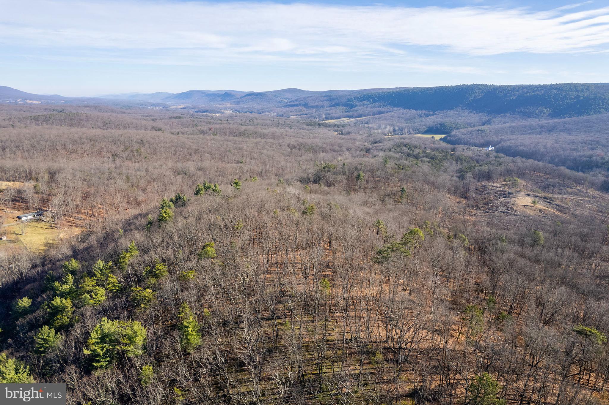 2487 Sperrys Run Road Rio, WV 26755 - Photo 7 of 32