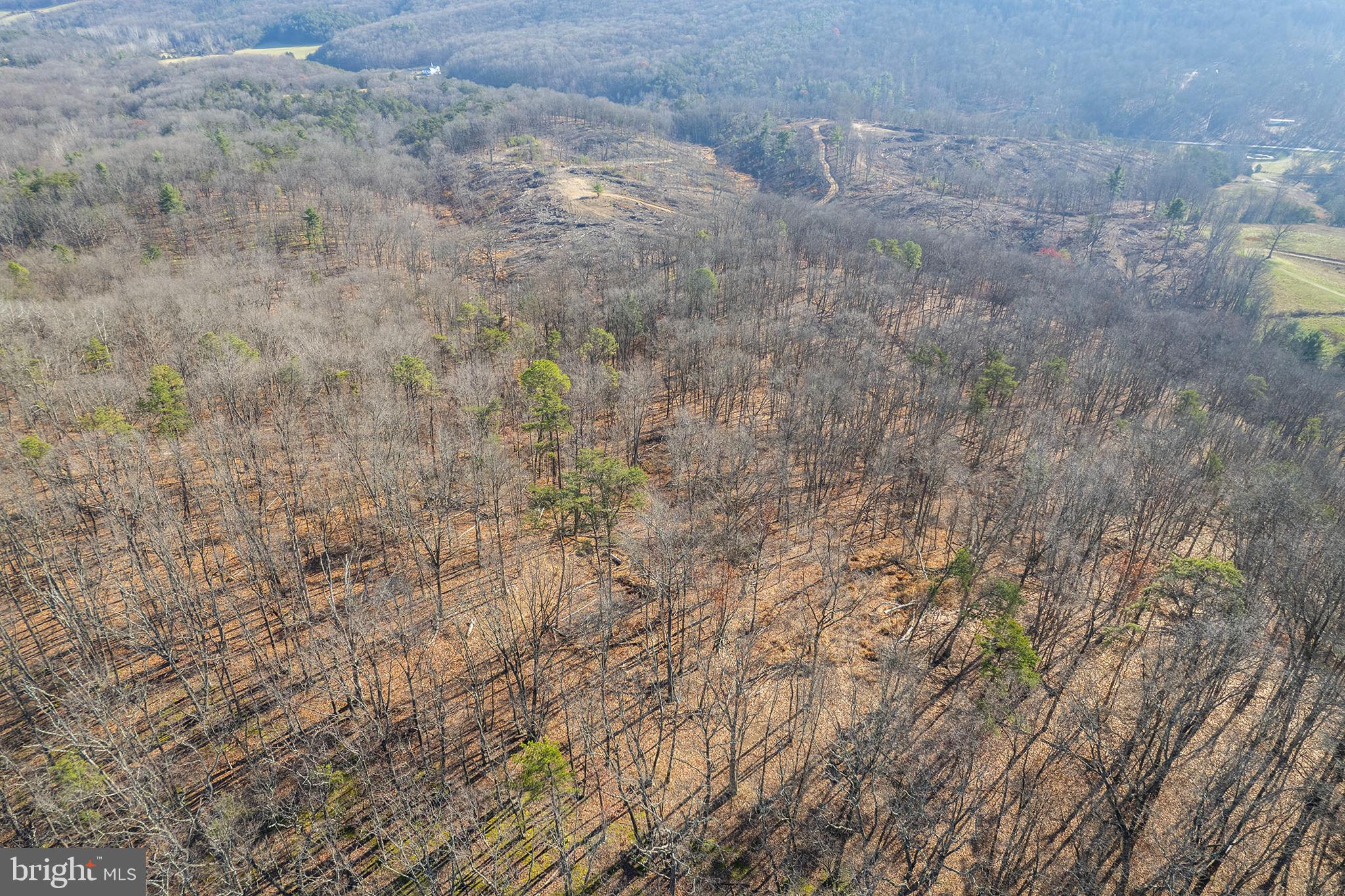 2487 Sperrys Run Road Rio, WV 26755 - Photo 10 of 32