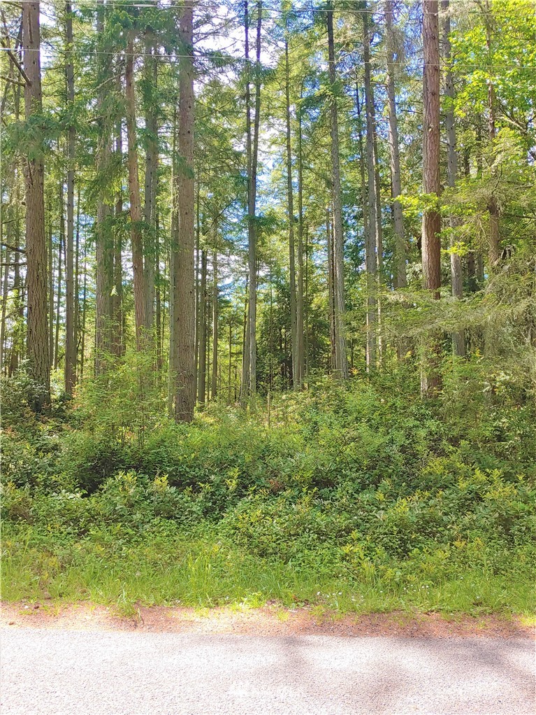 9012 Otso Point Road Anderson Island, WA 98303 - Photo 2 of 10
