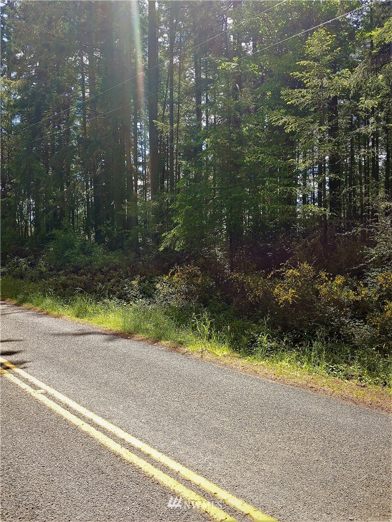 9012 Otso Point Road Anderson Island, WA 98303 - Photo 4 of 10