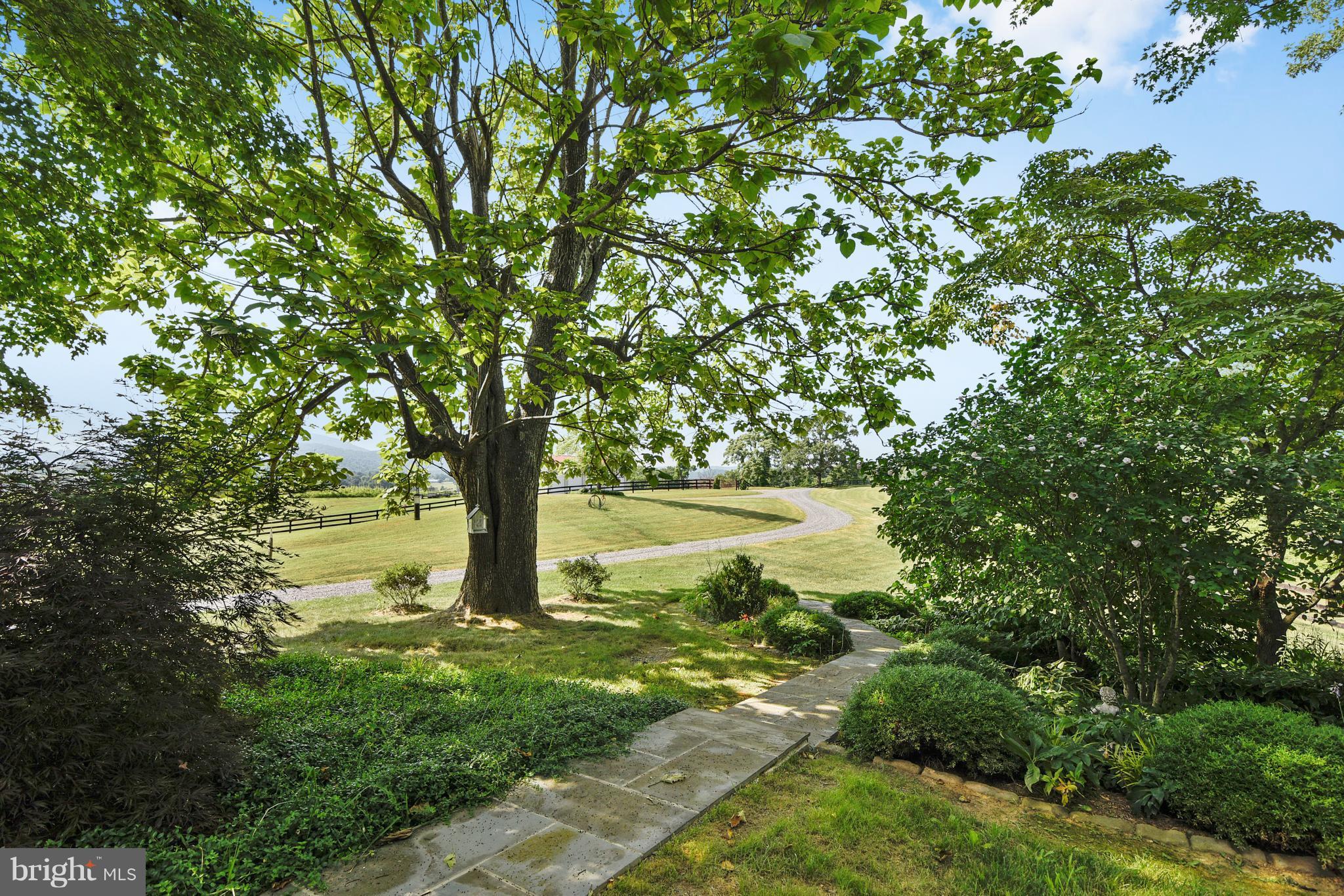 11403 Hume Road Hume, VA 22639 - Photo 16 of 30 Front yard