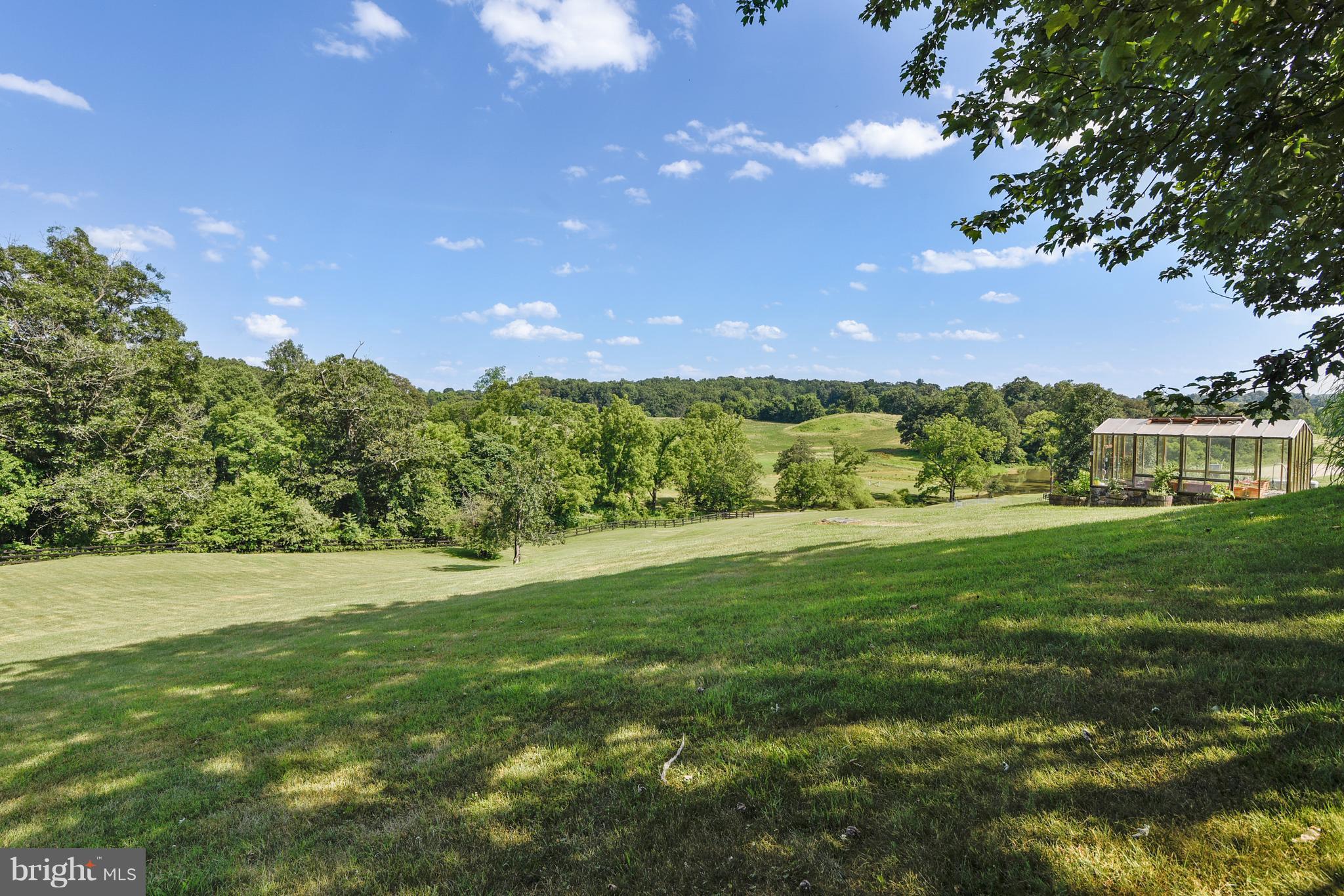 11403 Hume Road Hume, VA 22639 - Photo 18 of 30 Side yard