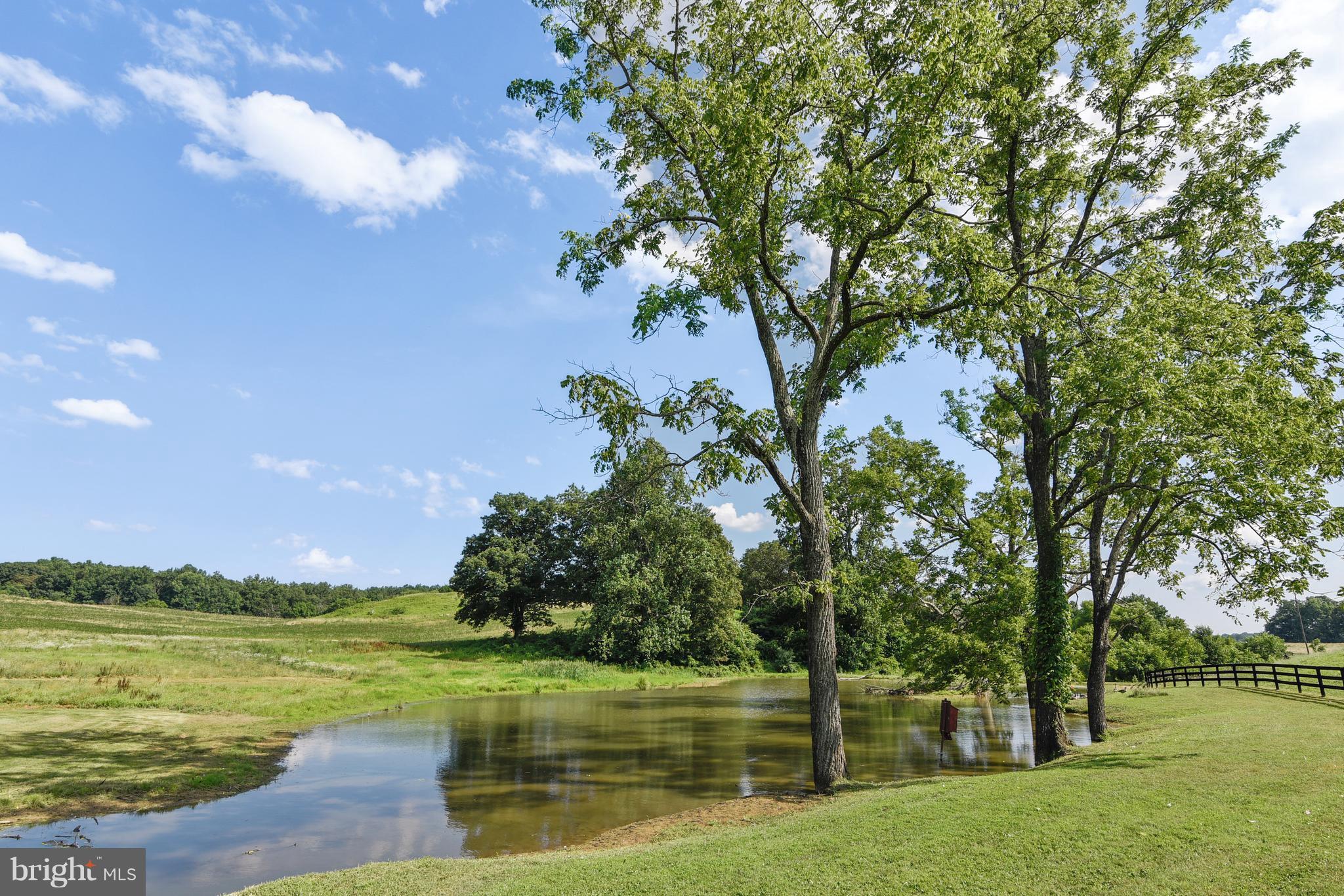11403 Hume Road Hume, VA 22639 - Photo 27 of 30 pond
