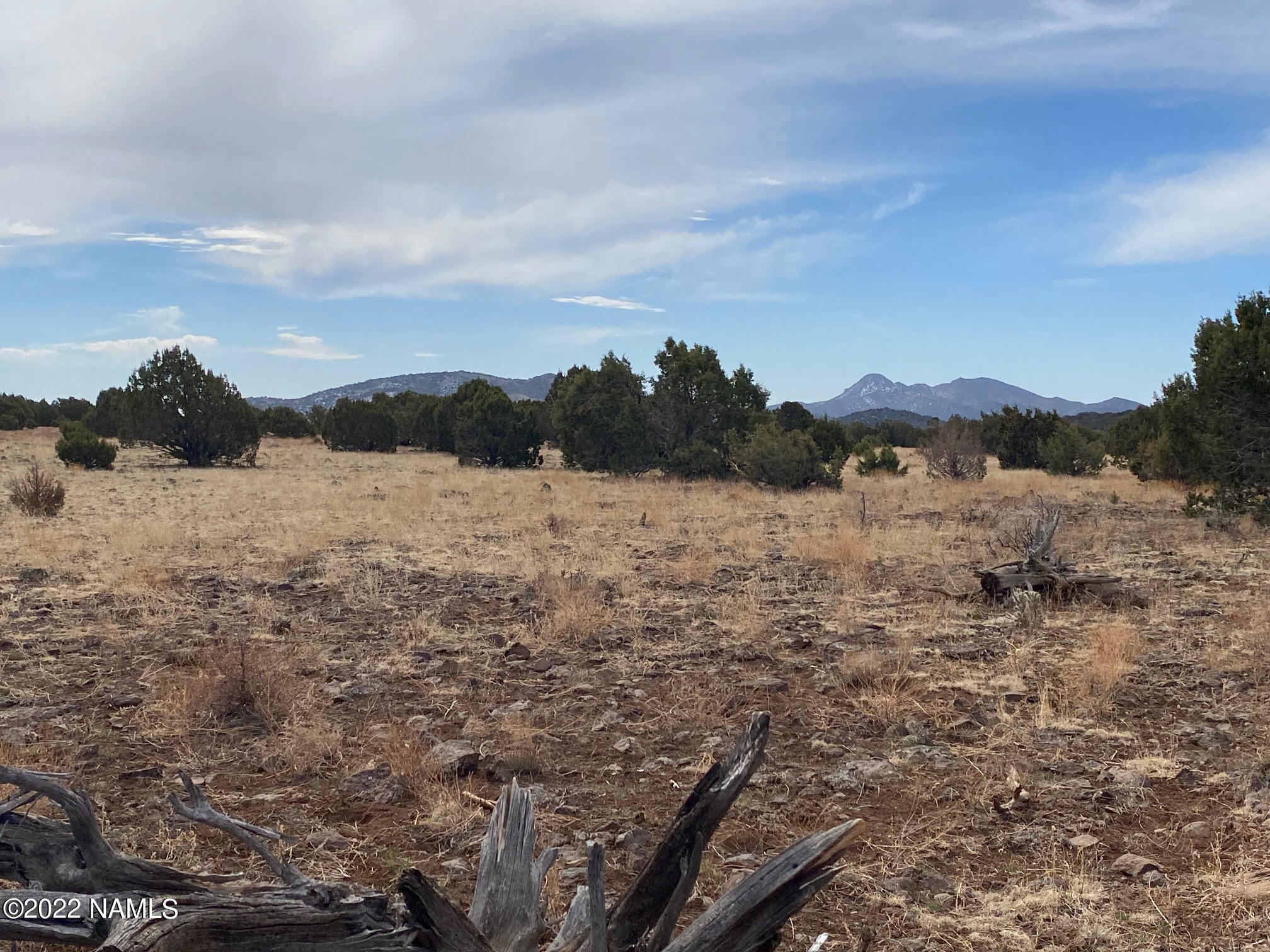 Lot 391 Flat Tank Road Williams, AZ 86046 - Photo 1 of 16 land and view