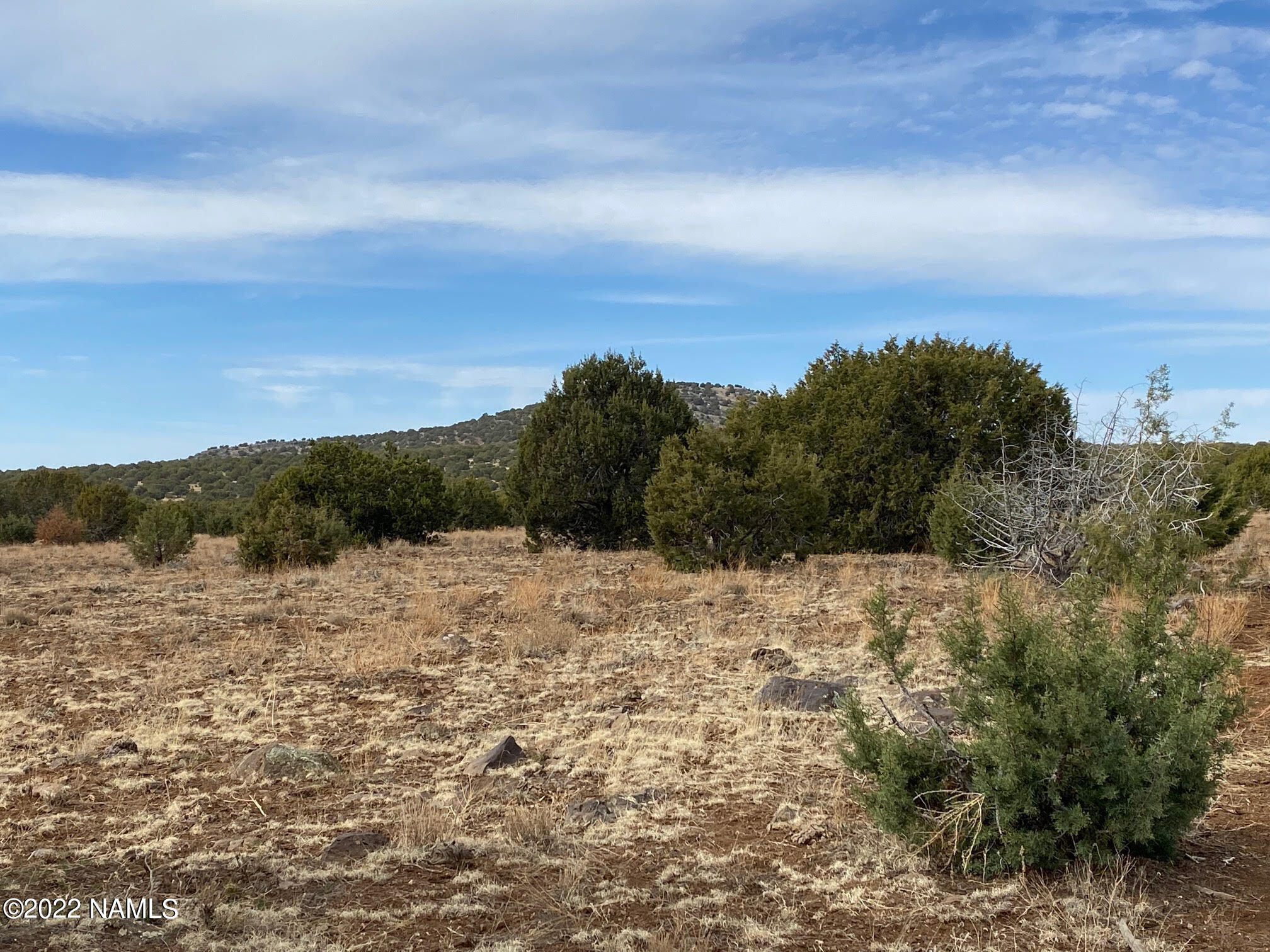 Lot 391 Flat Tank Road Williams, AZ 86046 - Photo 11 of 16 Joyce 18
