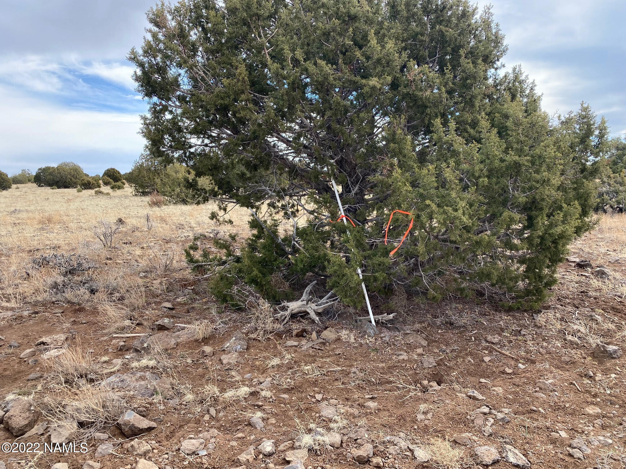 Lot 391 Flat Tank Road Williams, AZ 86046 - Photo 14 of 16 Joyce 28