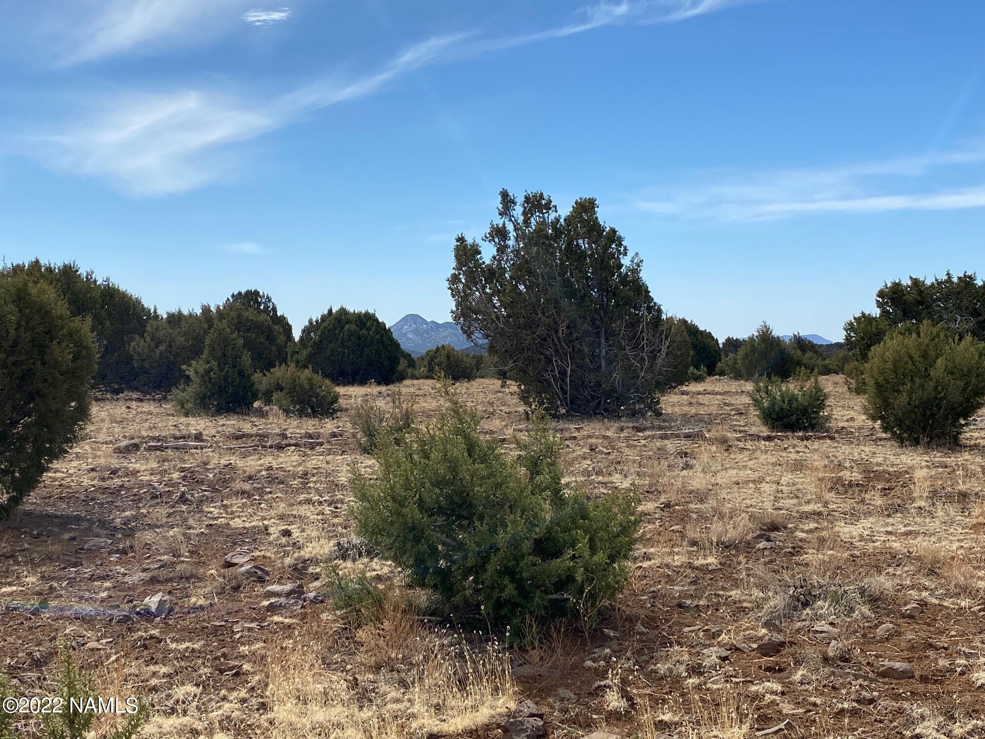 Lot 391 Flat Tank Road Williams, AZ 86046 - Photo 8 of 16 Joyce 13