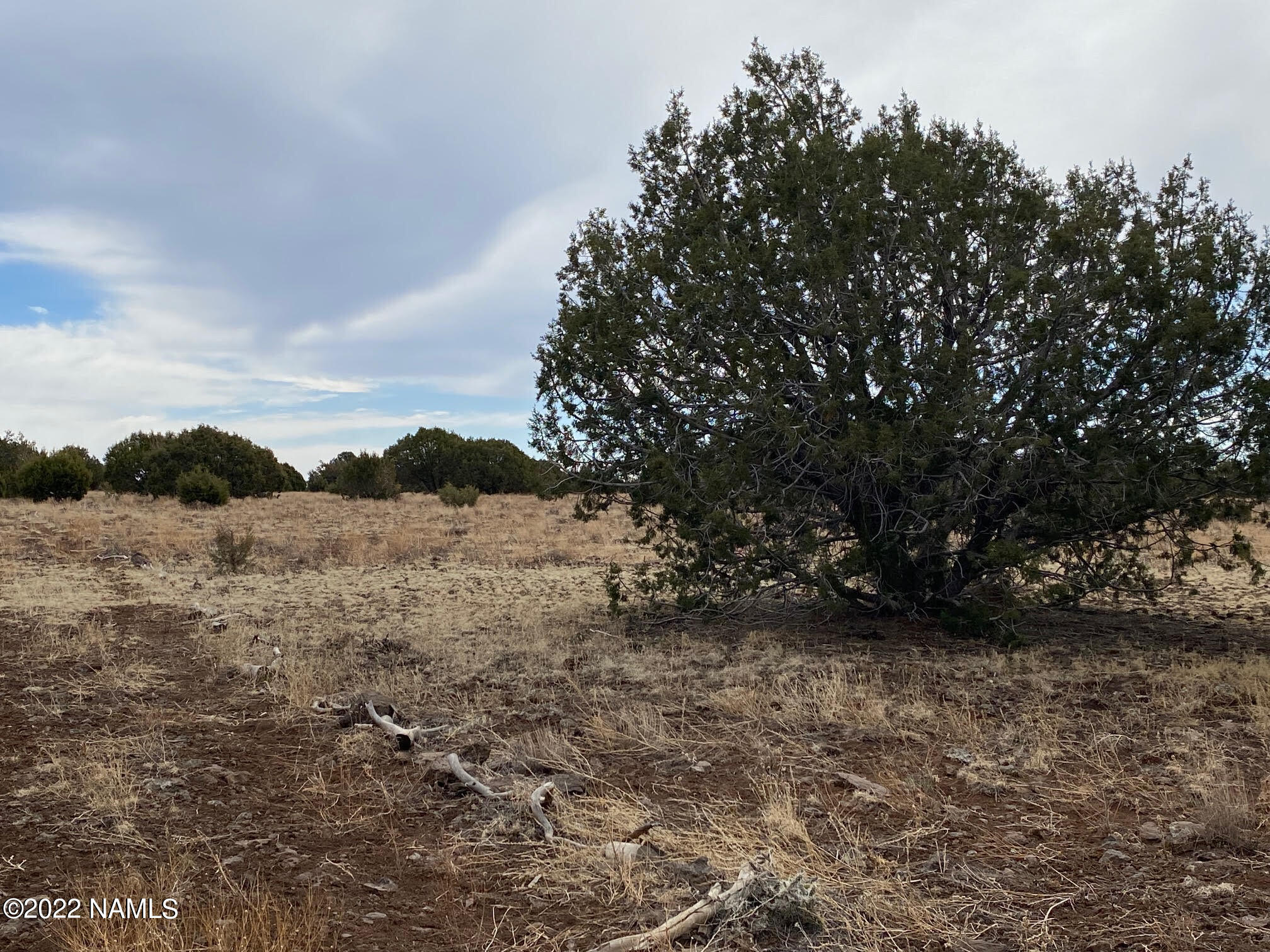 Lot 391 Flat Tank Road Williams, AZ 86046 - Photo 10 of 16 Joyce 16