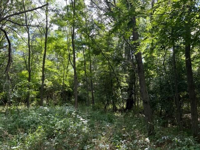 Bluffview Drive Montello, WI 53949 - Photo 1 of 1