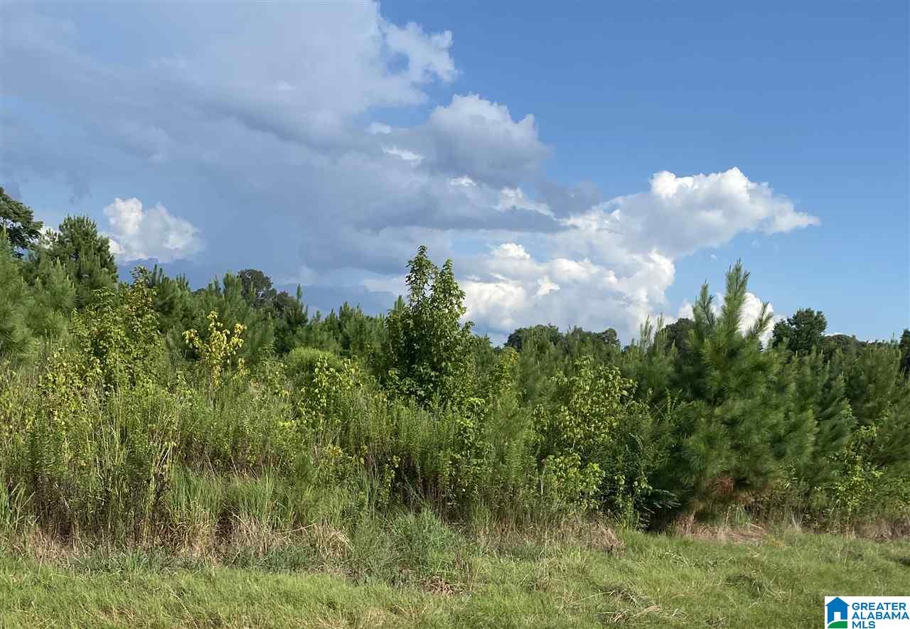 Corner School Road Warrior, AL 35180 - Photo 1 of 11