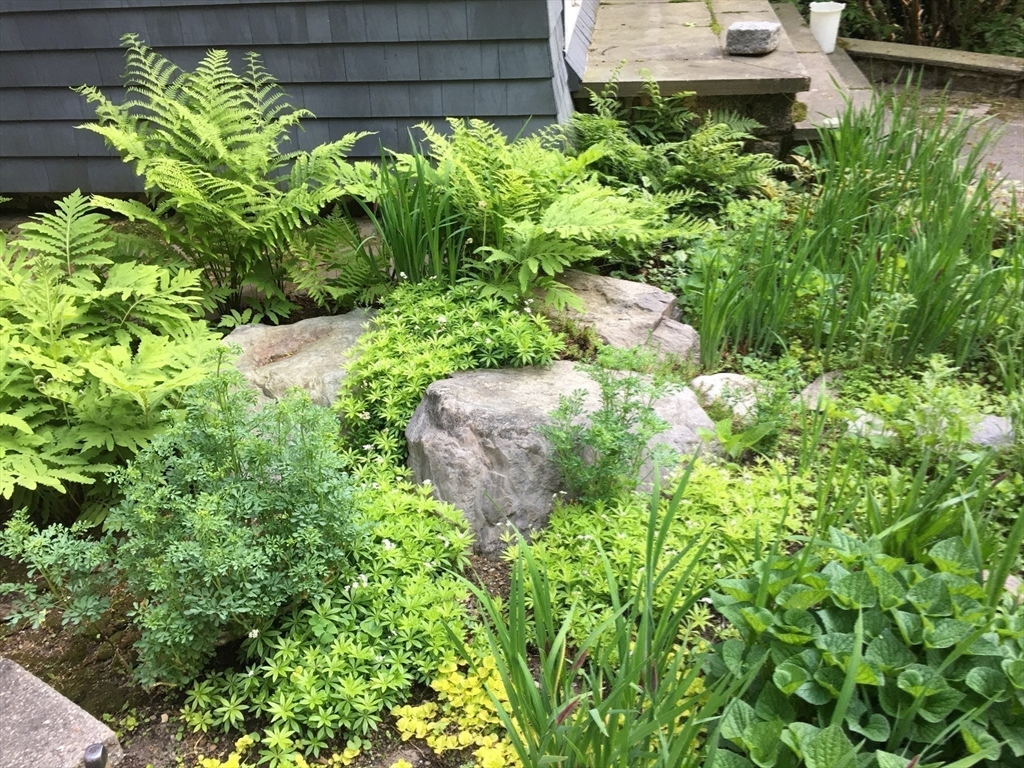 2 Mason Terrace Brookline, MA 02446 - Photo 31 of 38
