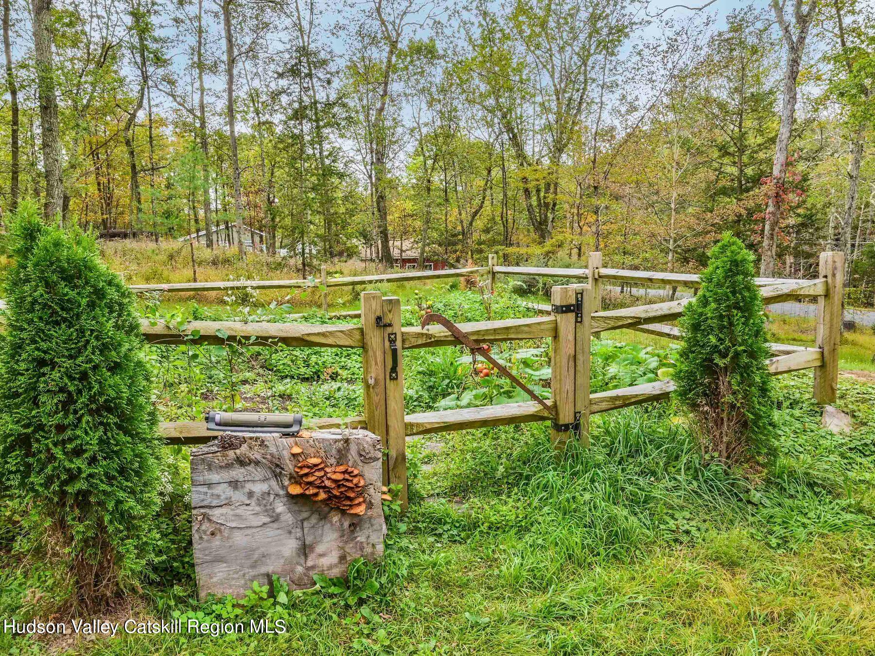 264 Van Vlierden Road Saugerties, NY 12477 - Photo 51 of 59 photo_online_049
