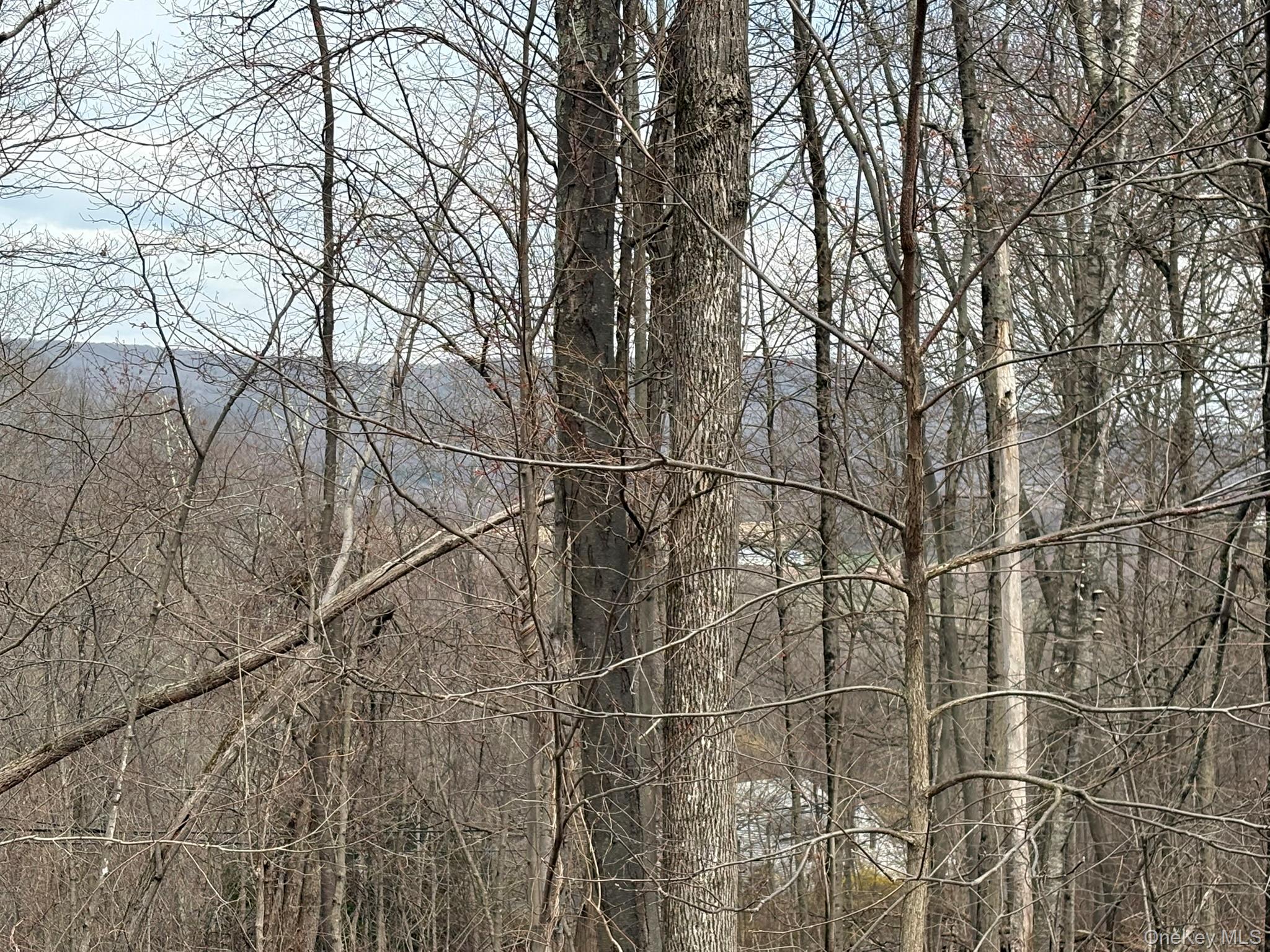 296 Winchell Mountain Road Millerton, NY 12546 - Photo 12 of 34