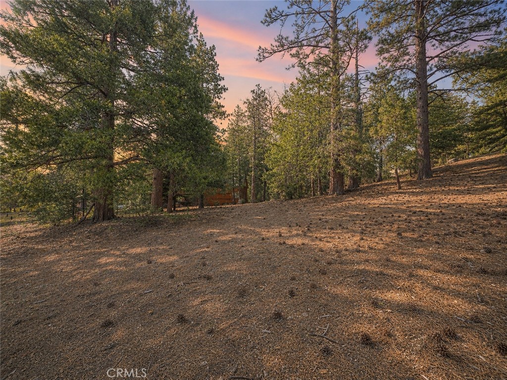 25400 Marion Ridge Drive Idyllwild, CA 92549 - Photo 7 of 22