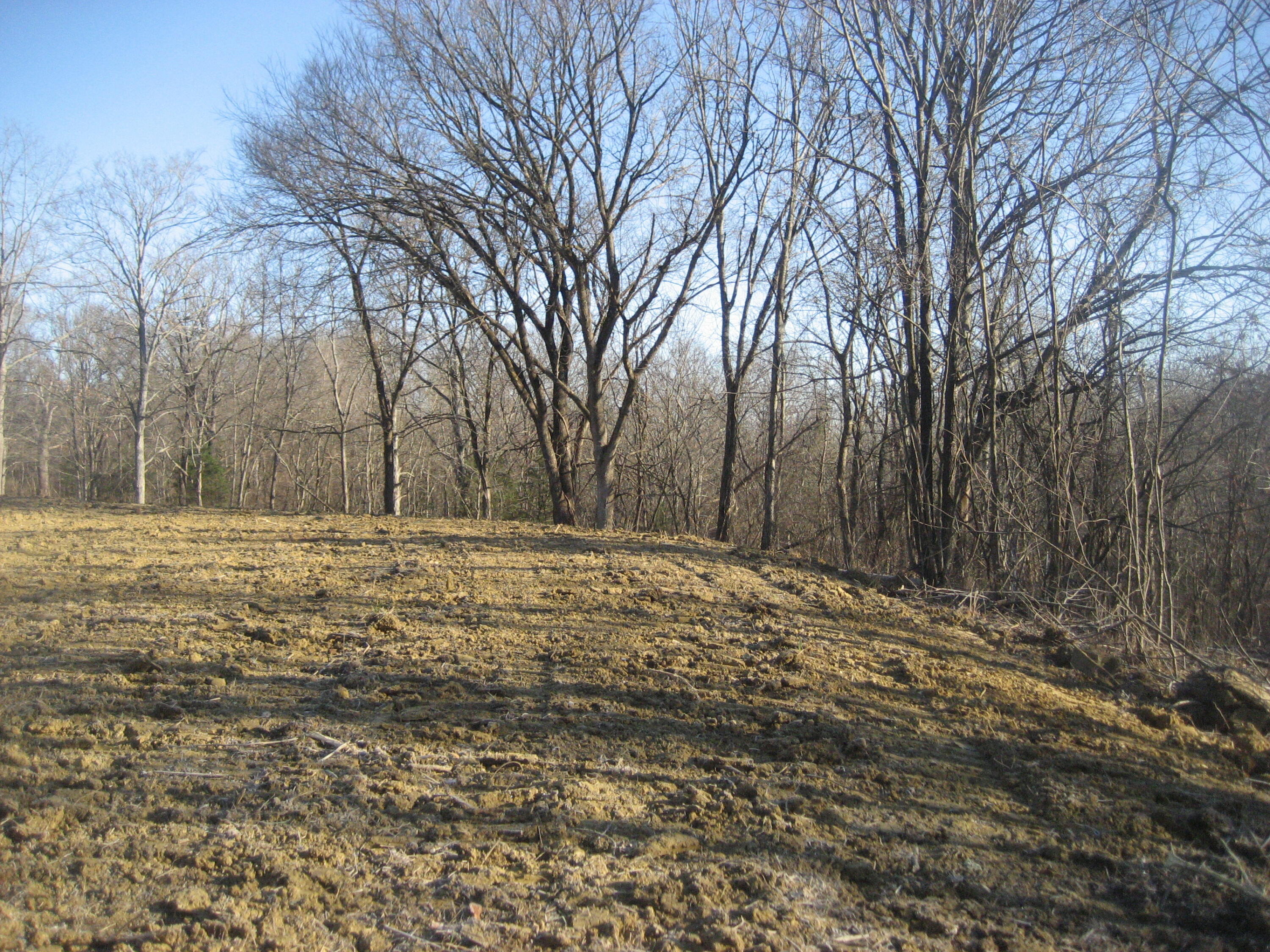 373 Union Ridge Road Frankfort, KY 40601 - Photo 13 of 19 IMG_1325