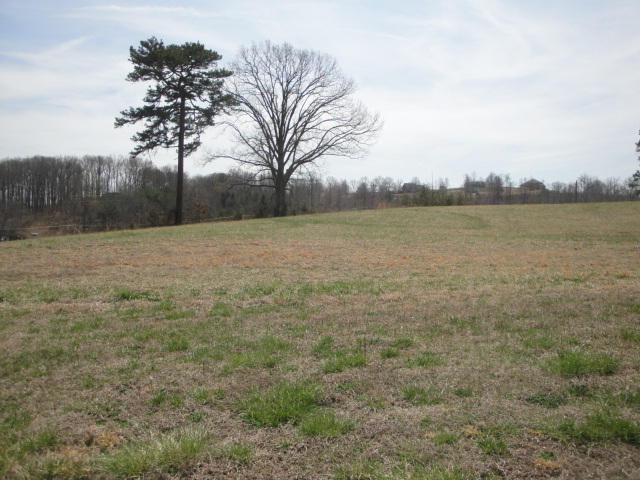 Lot 48 Chippewa Lane Rutledge, TN 37861 - Photo 2 of 2 Lot 48