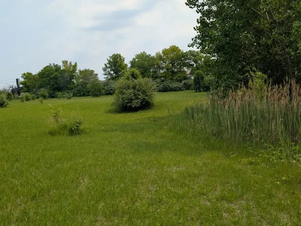 a view of a garden with a lake