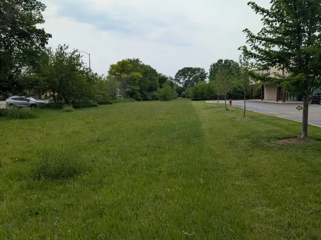 a view of a field of grass and trees