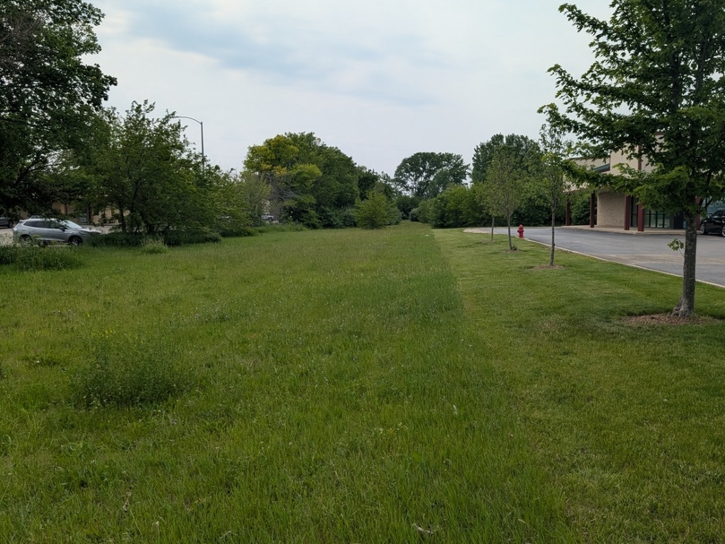 0 Gore Road Morris, IL 60450 - Photo 4 of 6 a view of a field of grass and trees