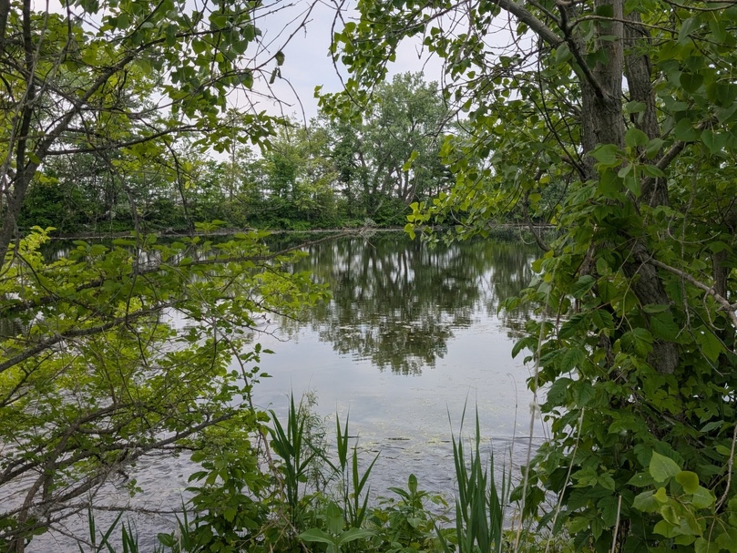 0 Gore Road Morris, IL 60450 - Photo 6 of 6 a view of lake with green space