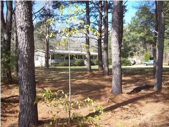 12179 Round O Road Round O, SC 29474 - Photo 23 of 24 Additional Photo