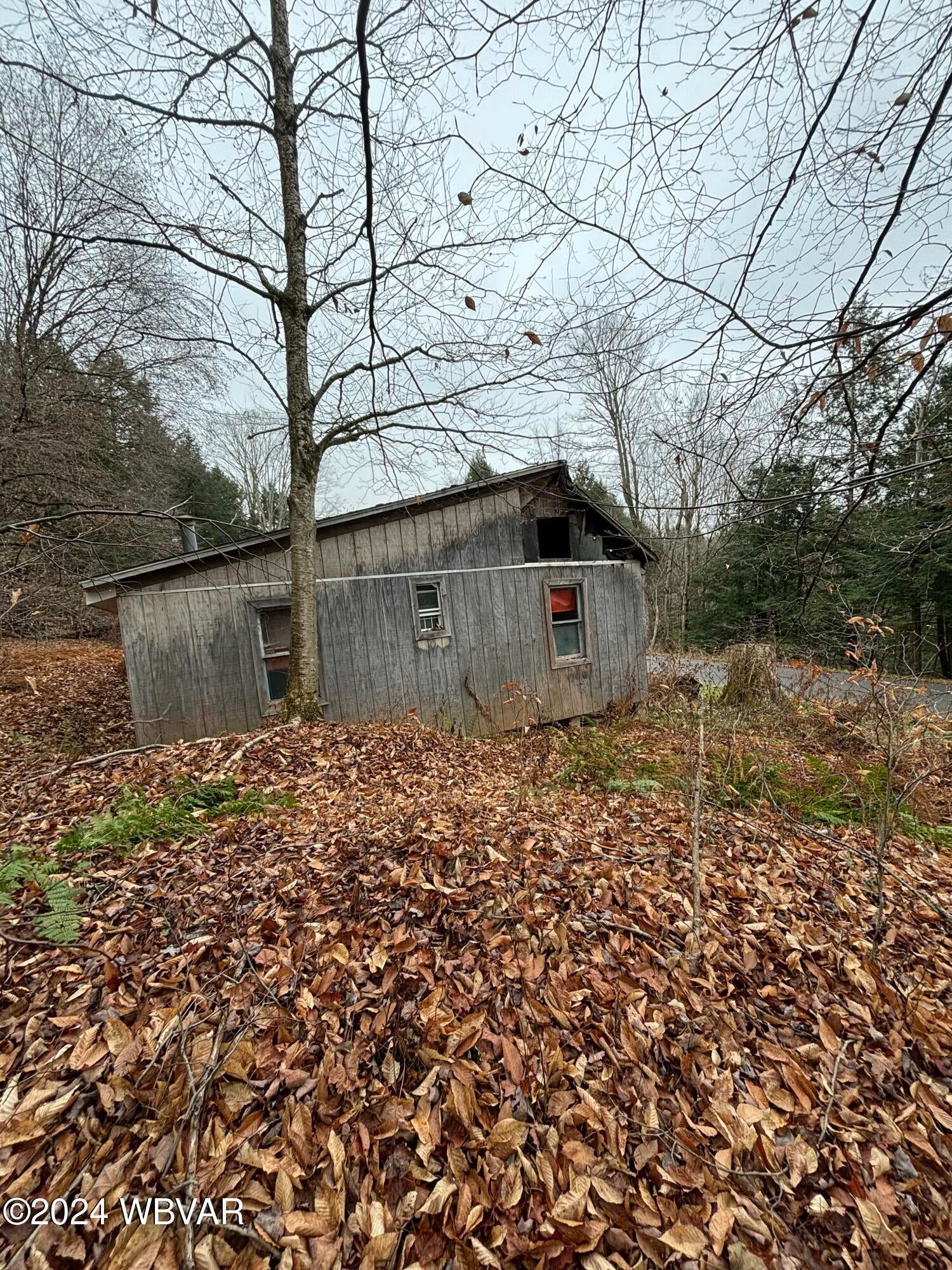 1728 Cogan House Road Trout Run, PA 17771 - Photo 6 of 11 1.1 acre lot