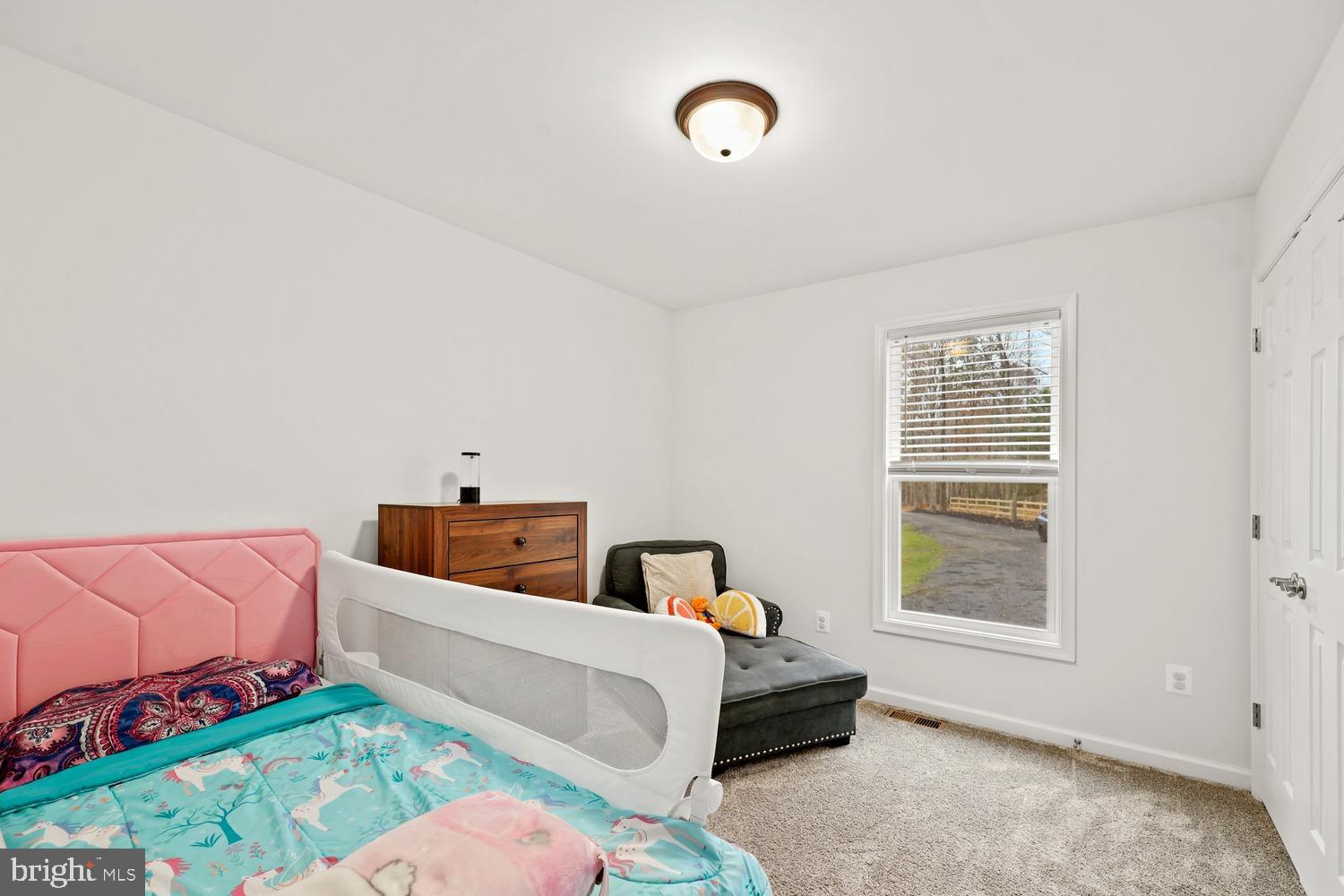 12749 Orange Plank Road Locust Grove, VA 22508 - Photo 17 of 38 Bedroom 3 on upper level