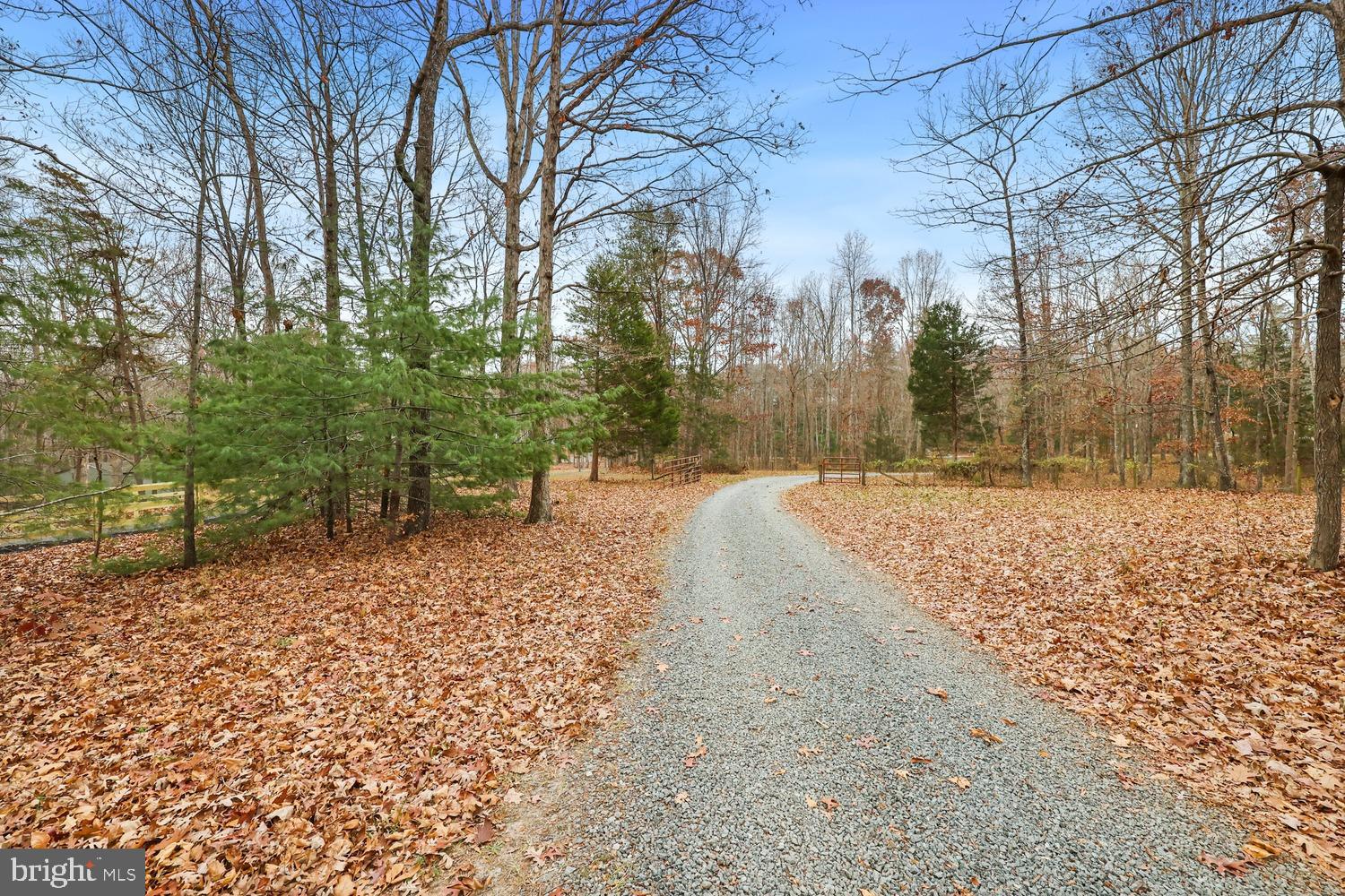 12749 Orange Plank Road Locust Grove, VA 22508 - Photo 32 of 38 Driveway to home