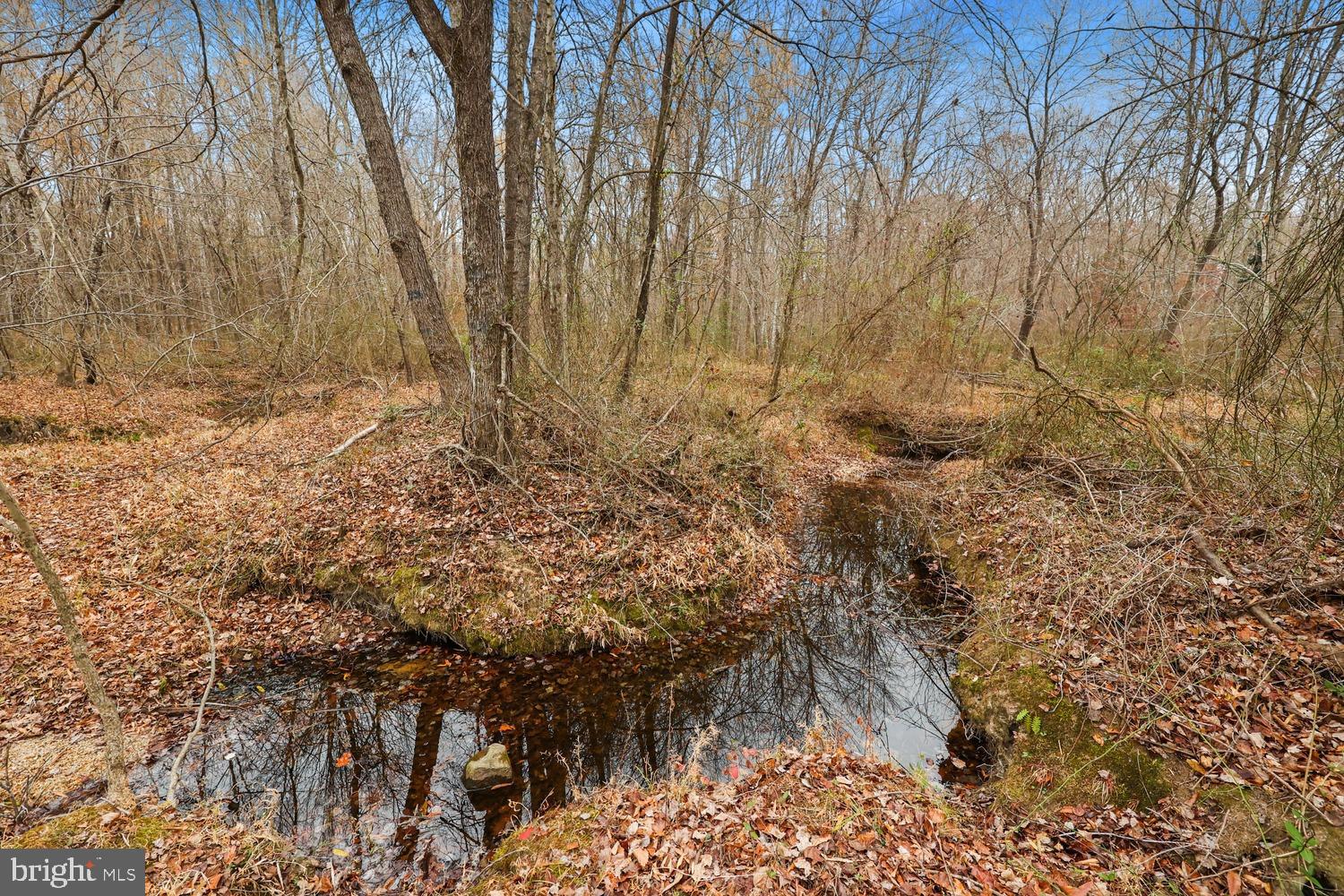 12749 Orange Plank Road Locust Grove, VA 22508 - Photo 33 of 38 Stream runs through backyard