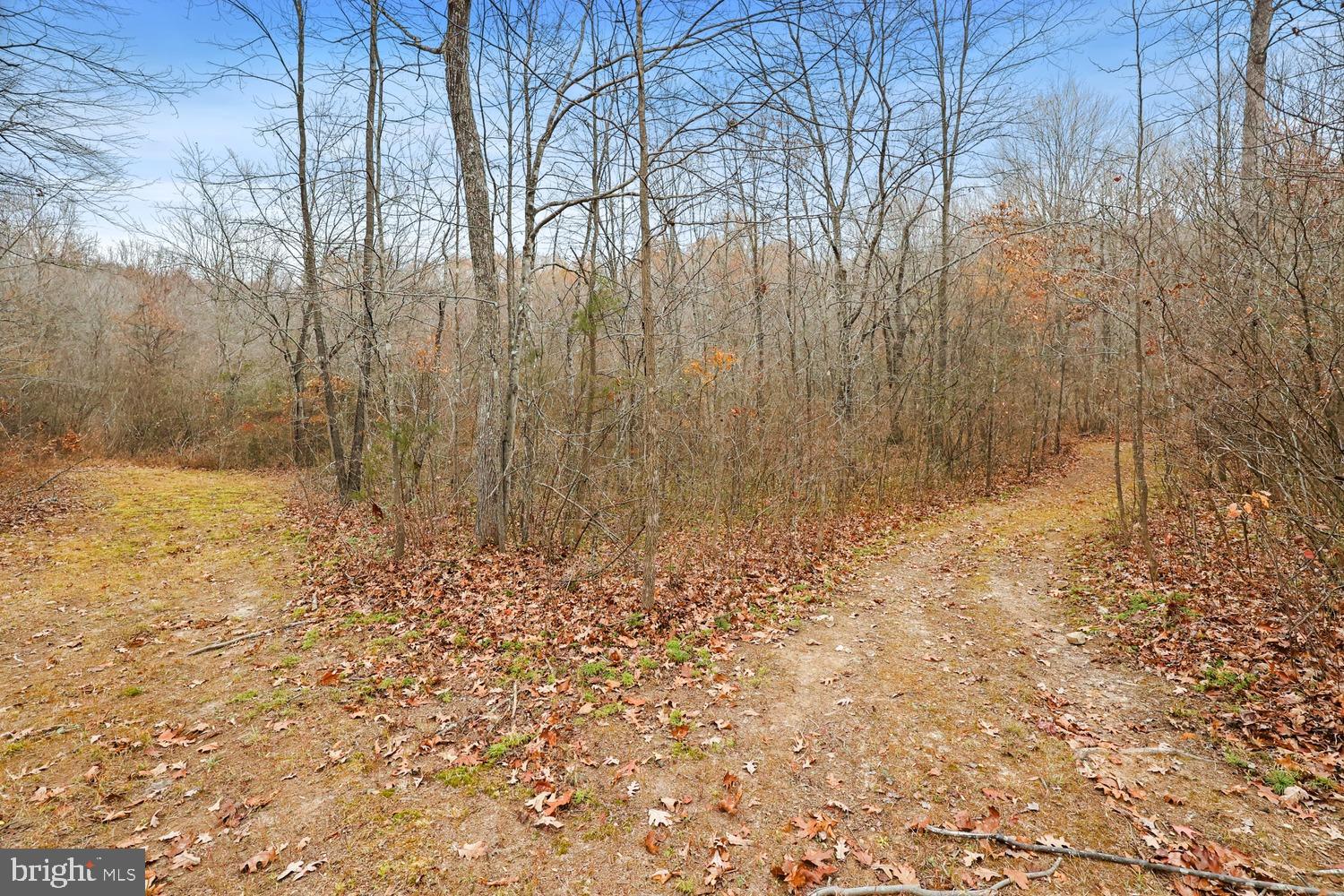 12749 Orange Plank Road Locust Grove, VA 22508 - Photo 34 of 38 Four wheel trails already in place