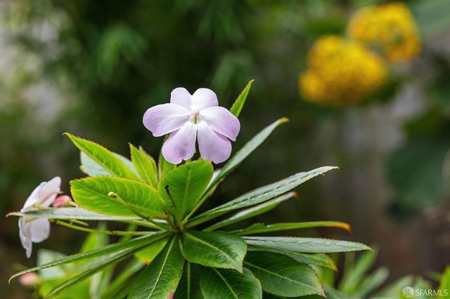 $2,075,000 | 3343 Folsom Street, San Francisco, CA 94110