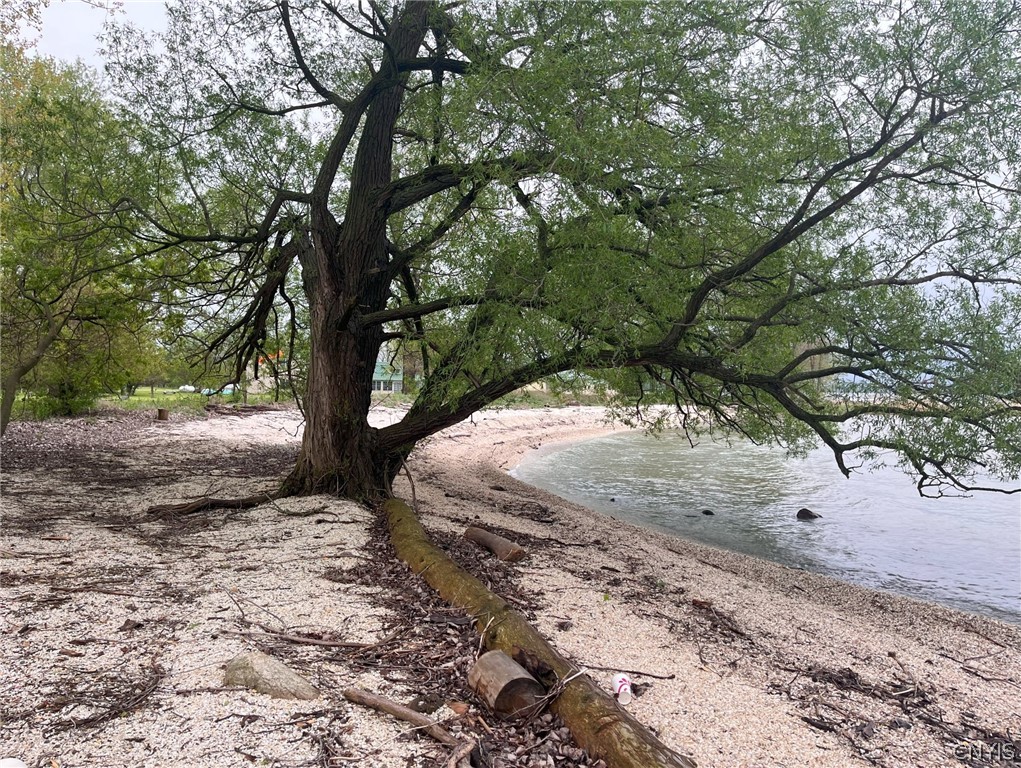 6310 Lasher Road Henderson, NY 13650 - Photo 3 of 17