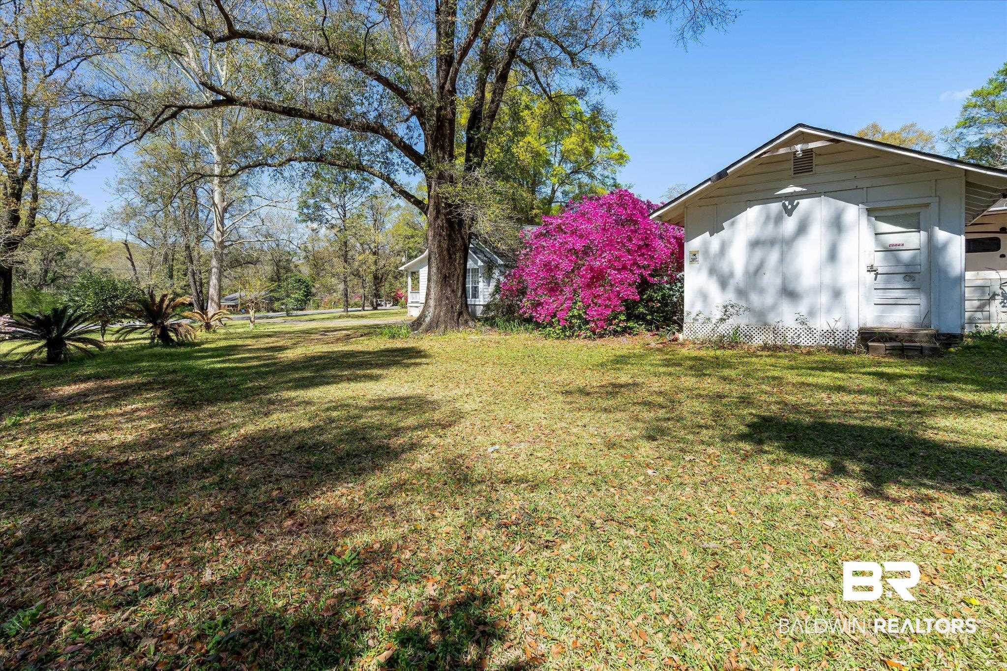 6030 Lott Road Eight Mile, AL 36613 - Photo 18 of 21 View of yard
