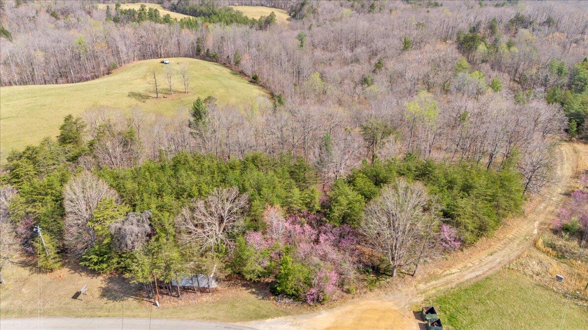 0 Knob Church Road Henry, VA 24102 - Photo 14 of 25 12-DJI_20260331111622_0031_D