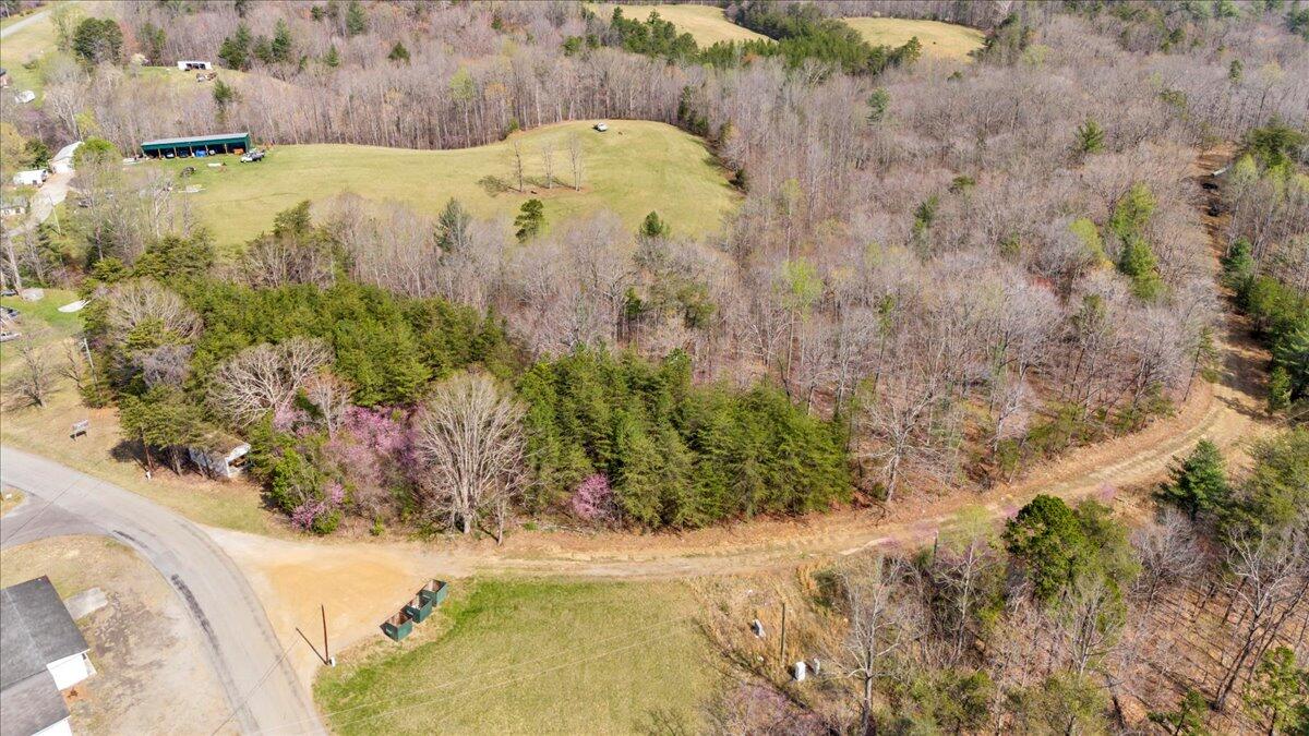 0 Knob Church Road Henry, VA 24102 - Photo 15 of 25 11-DJI_20260331111637_0032_D