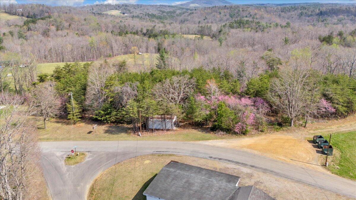 0 Knob Church Road Henry, VA 24102 - Photo 17 of 25 09-DJI_20260331111555_0028_D