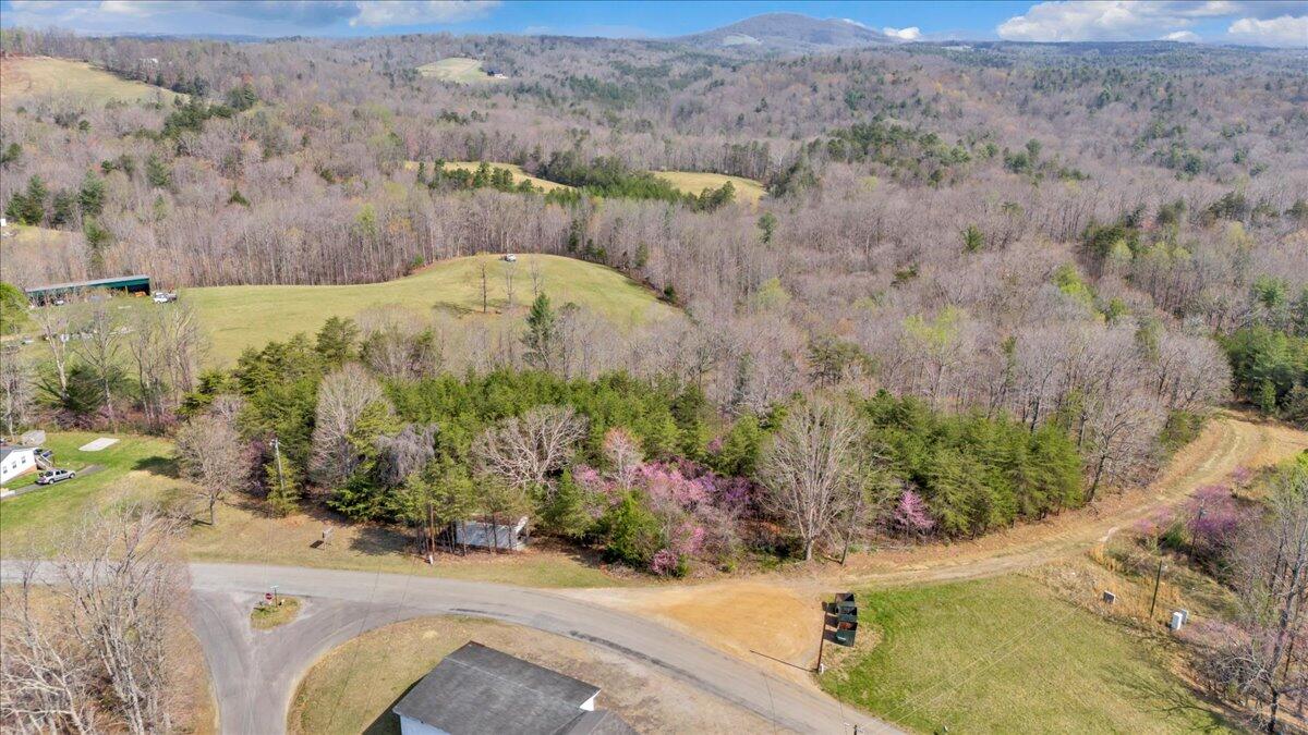0 Knob Church Road Henry, VA 24102 - Photo 18 of 25 08-DJI_20260331111604_0029_D